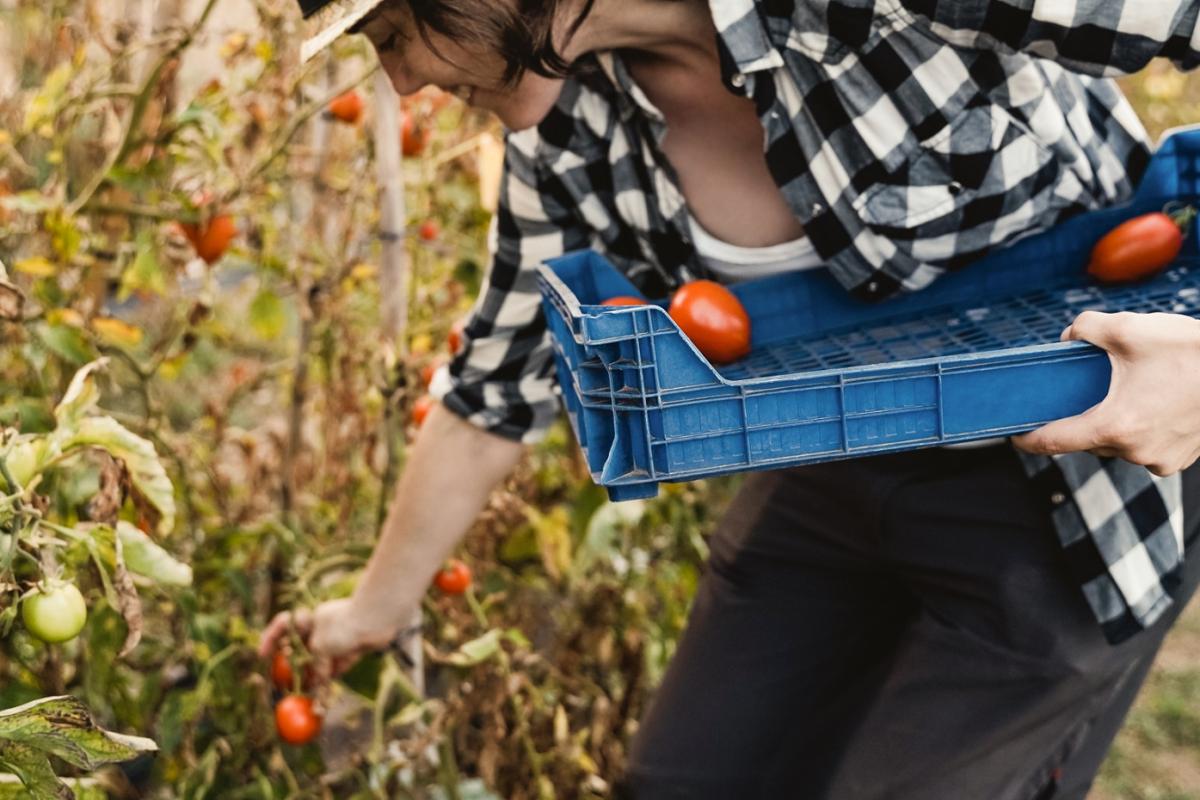 En el campo las mujeres sufren una discriminacin mltiple