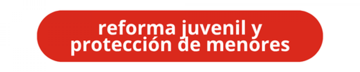 Reforma Juvenil y Protección de Menores
