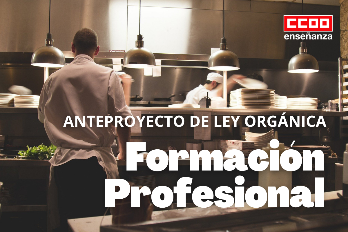 Anteproyecto Ley FP