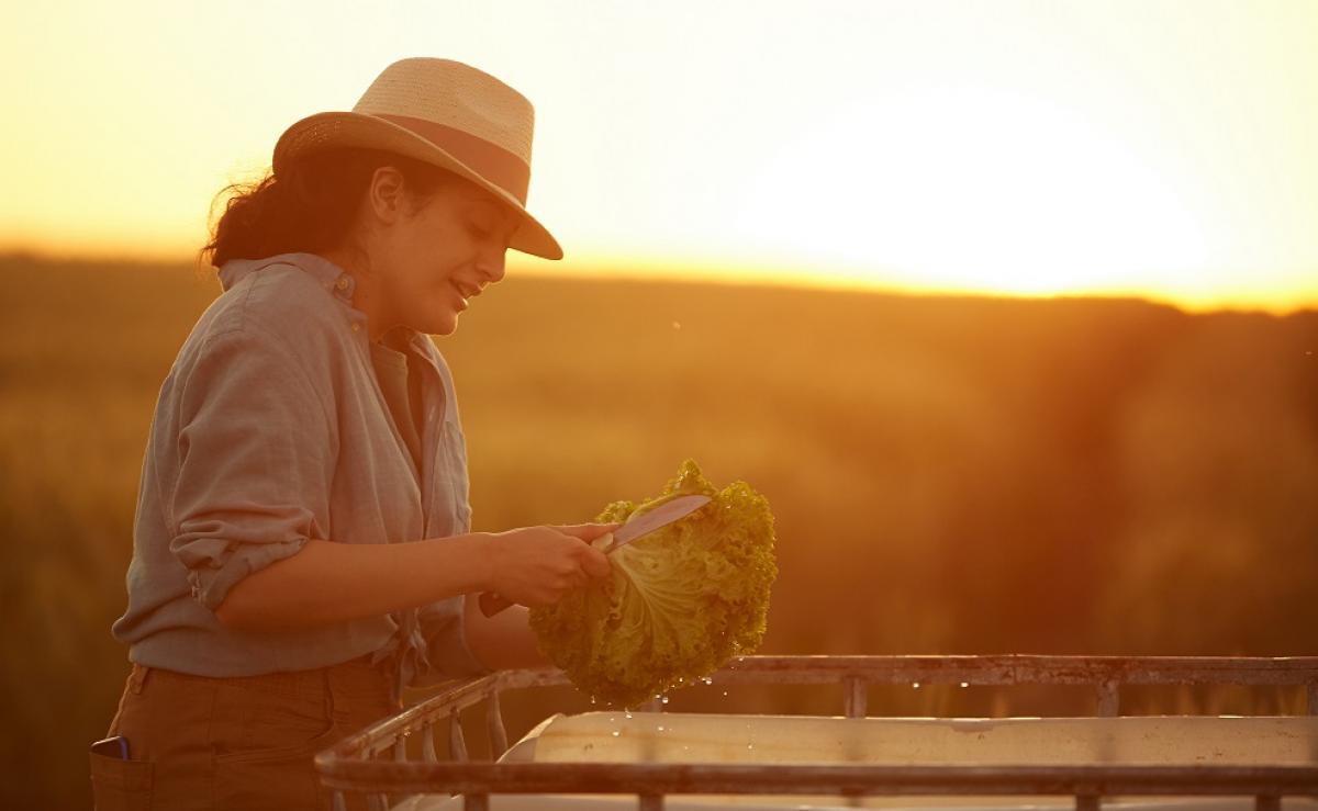 Trabajadoras del campo son las ms precarias: El 60% tiene un contrato temporal
