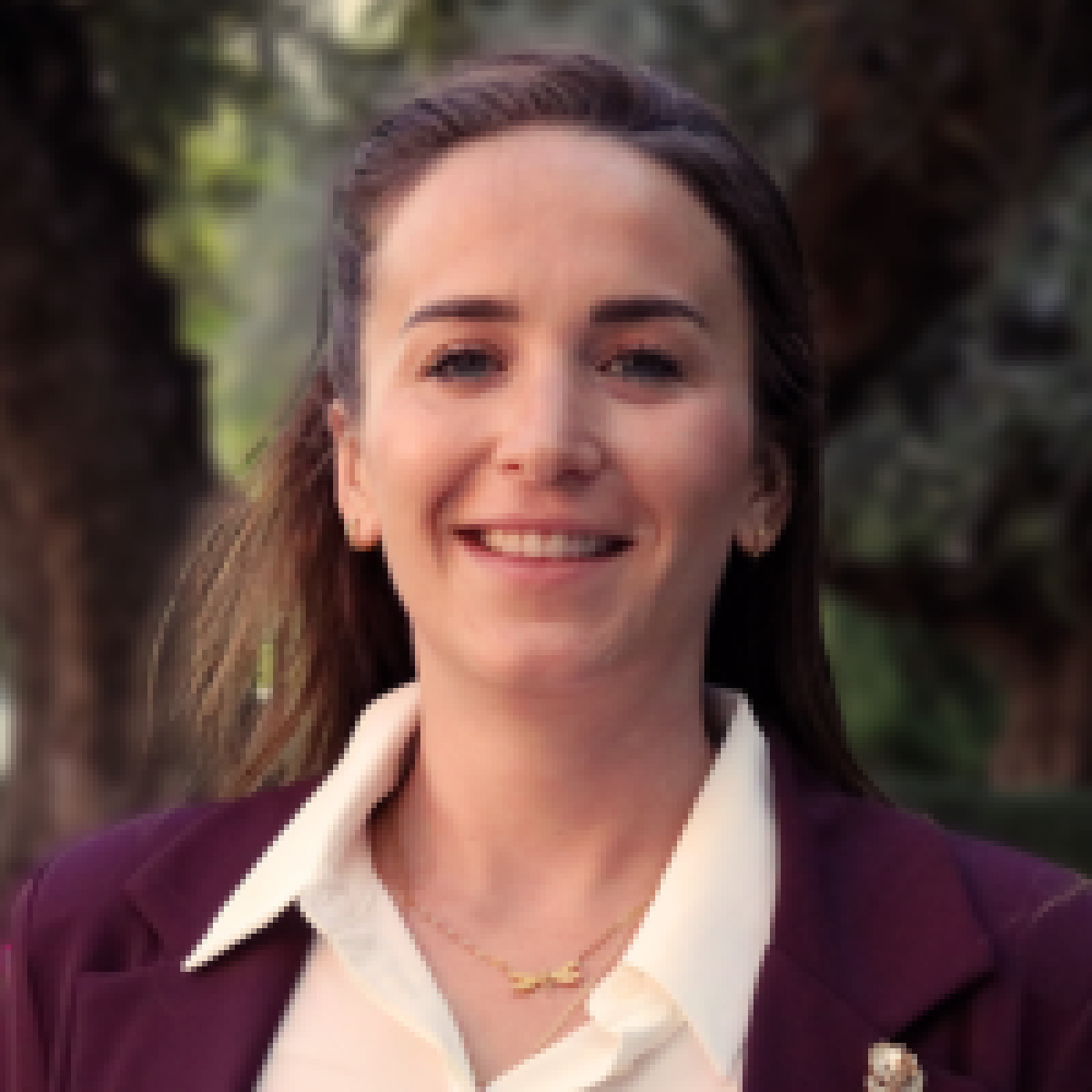 María del Barrio Colmena